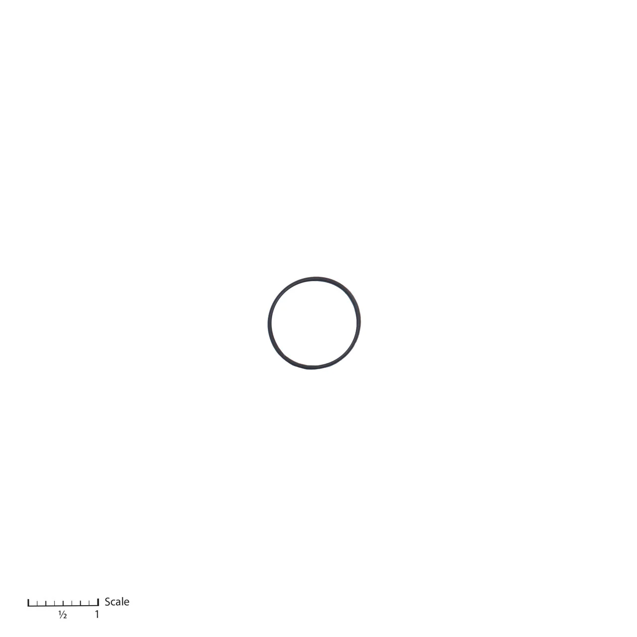 O-Ring