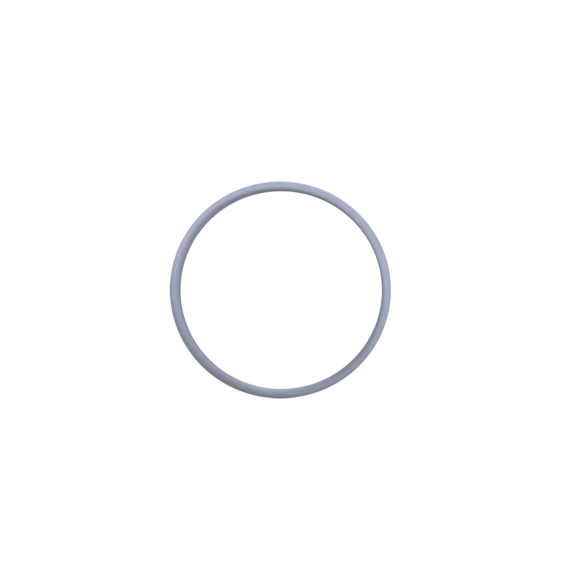 Backup Ring