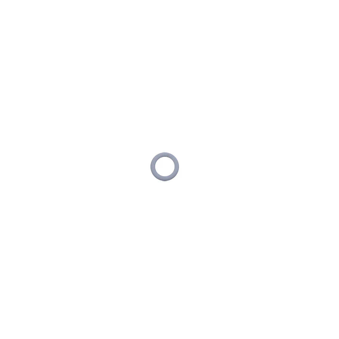 Backup Ring