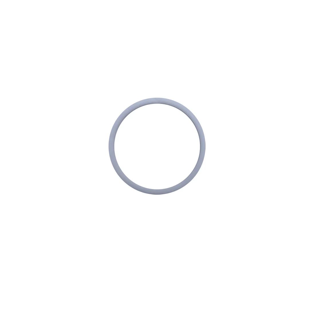 Backup Ring