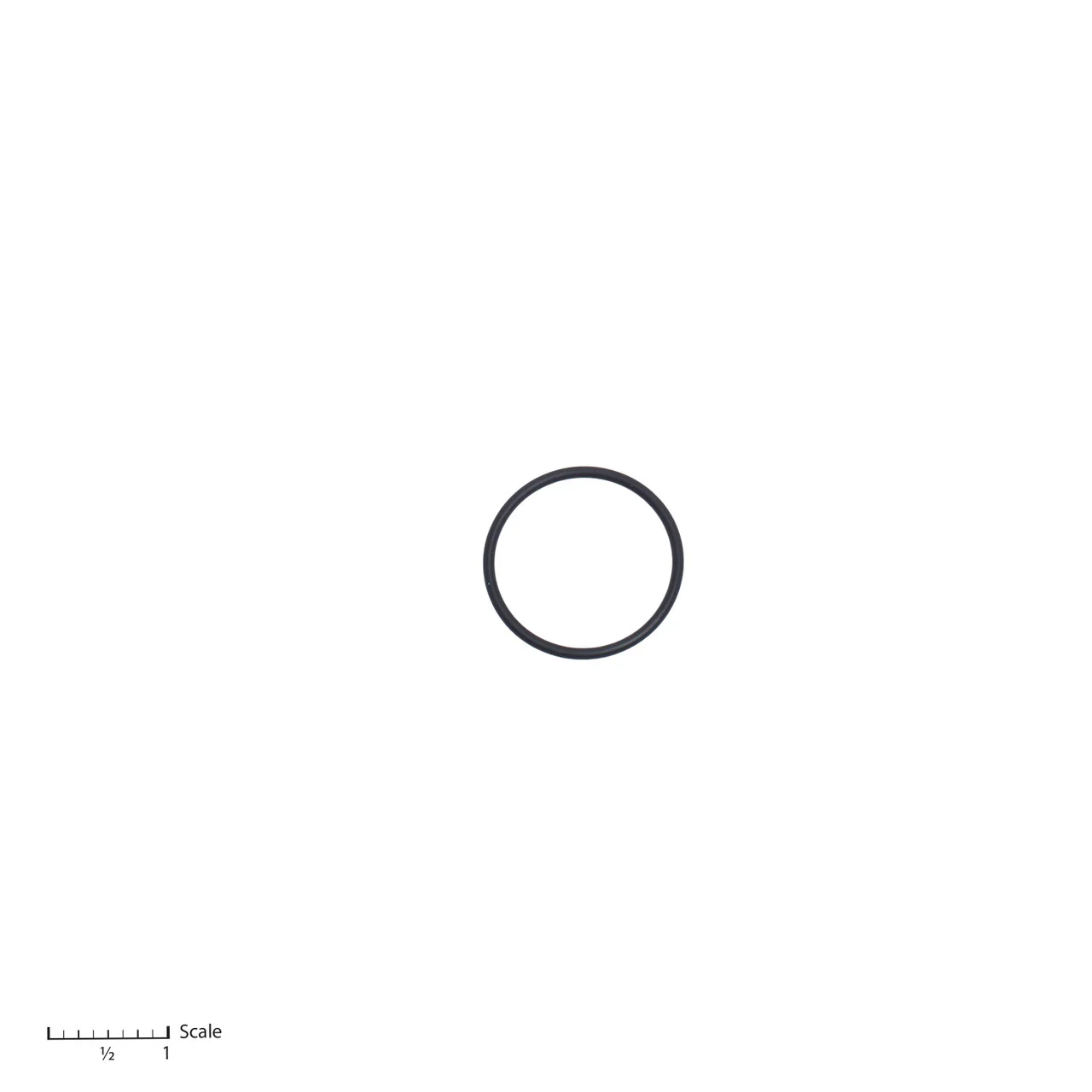 O-Ring