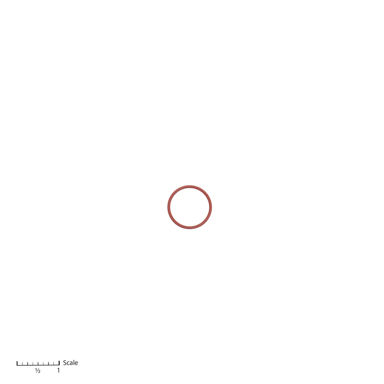 O-Ring
