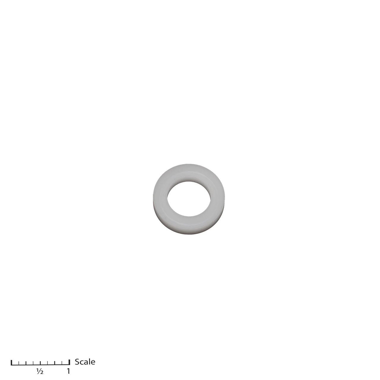 Female Adapter