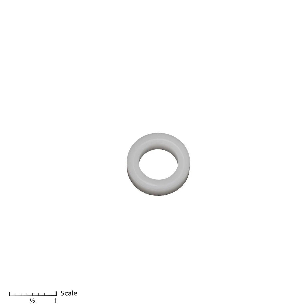 Female Gland