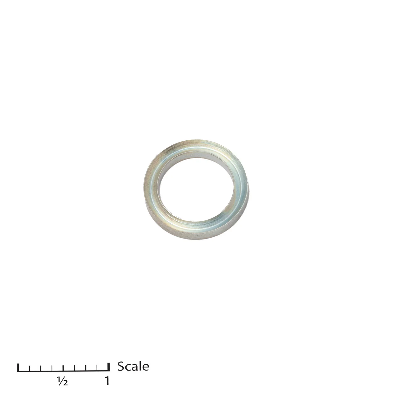 Female Gland