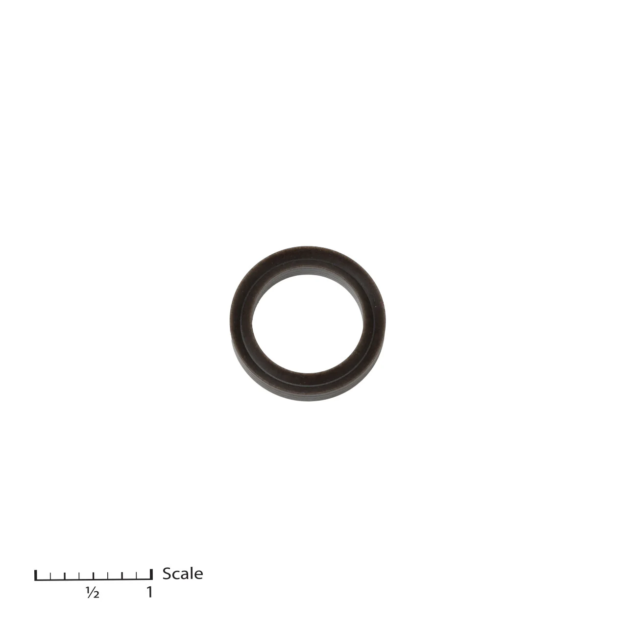 Female Gland
