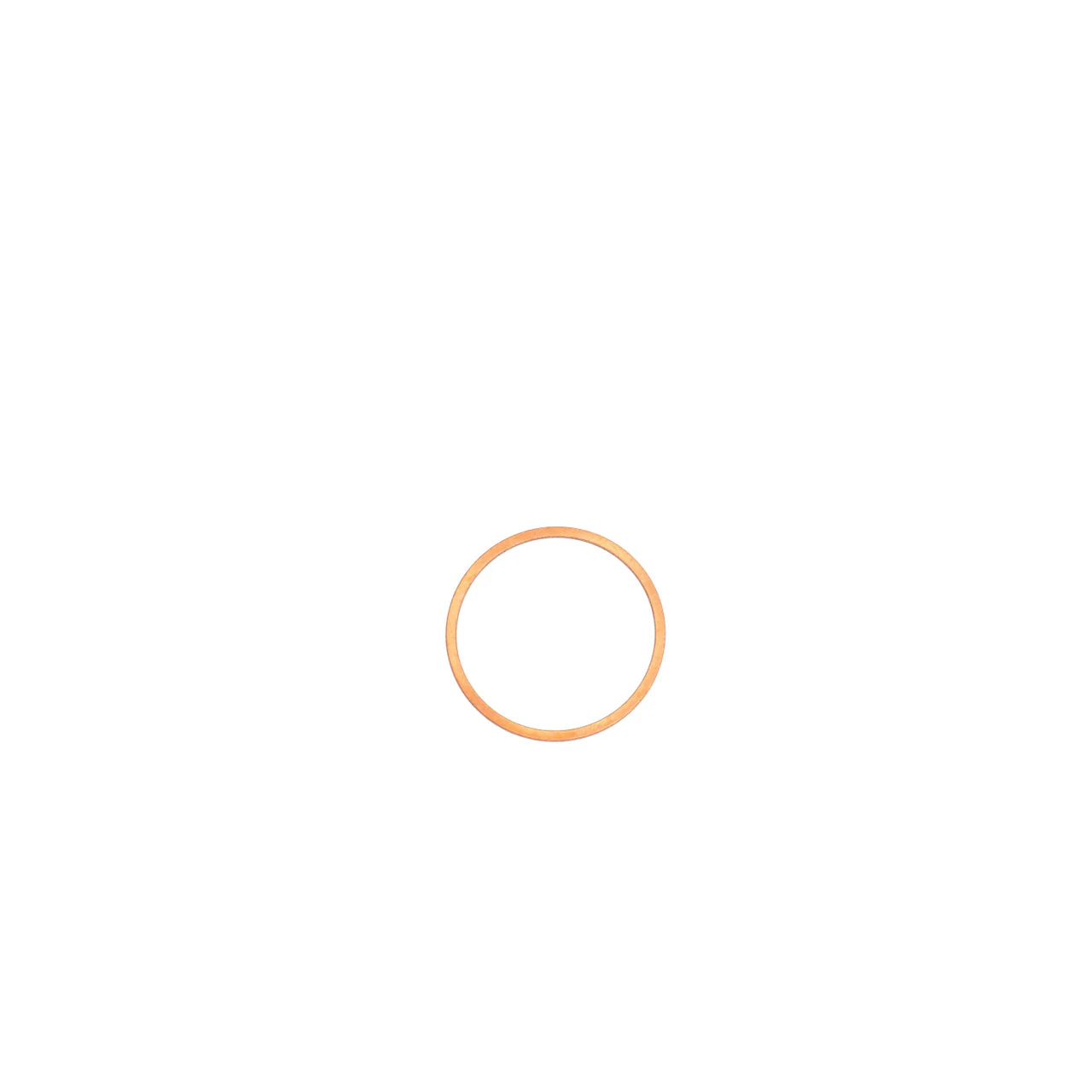 Gasket - Image 2