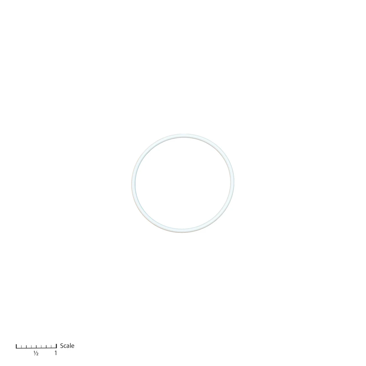 Teflon O-Ring