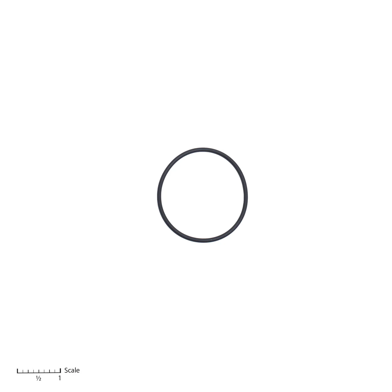 O-Ring