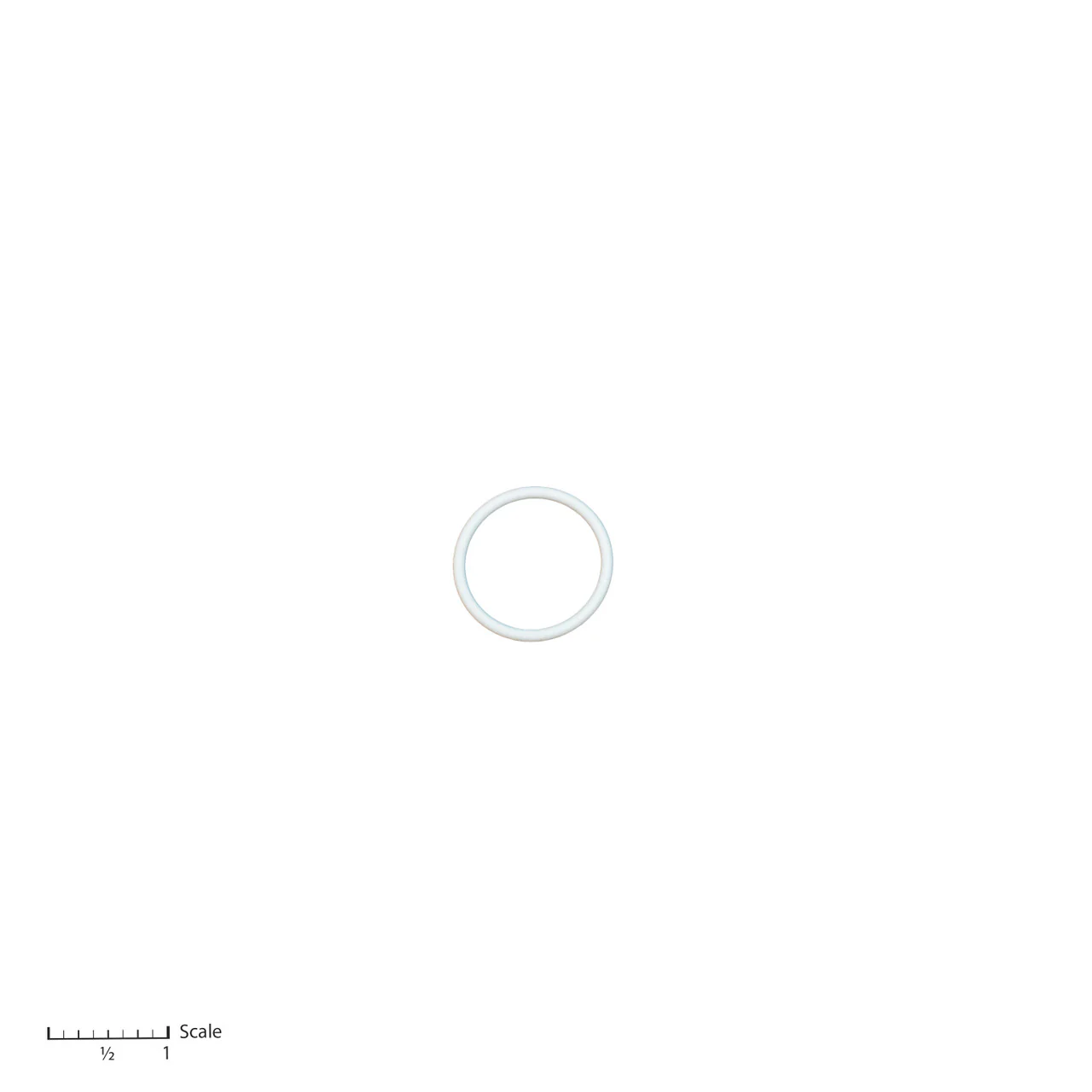 Teflon O-Ring