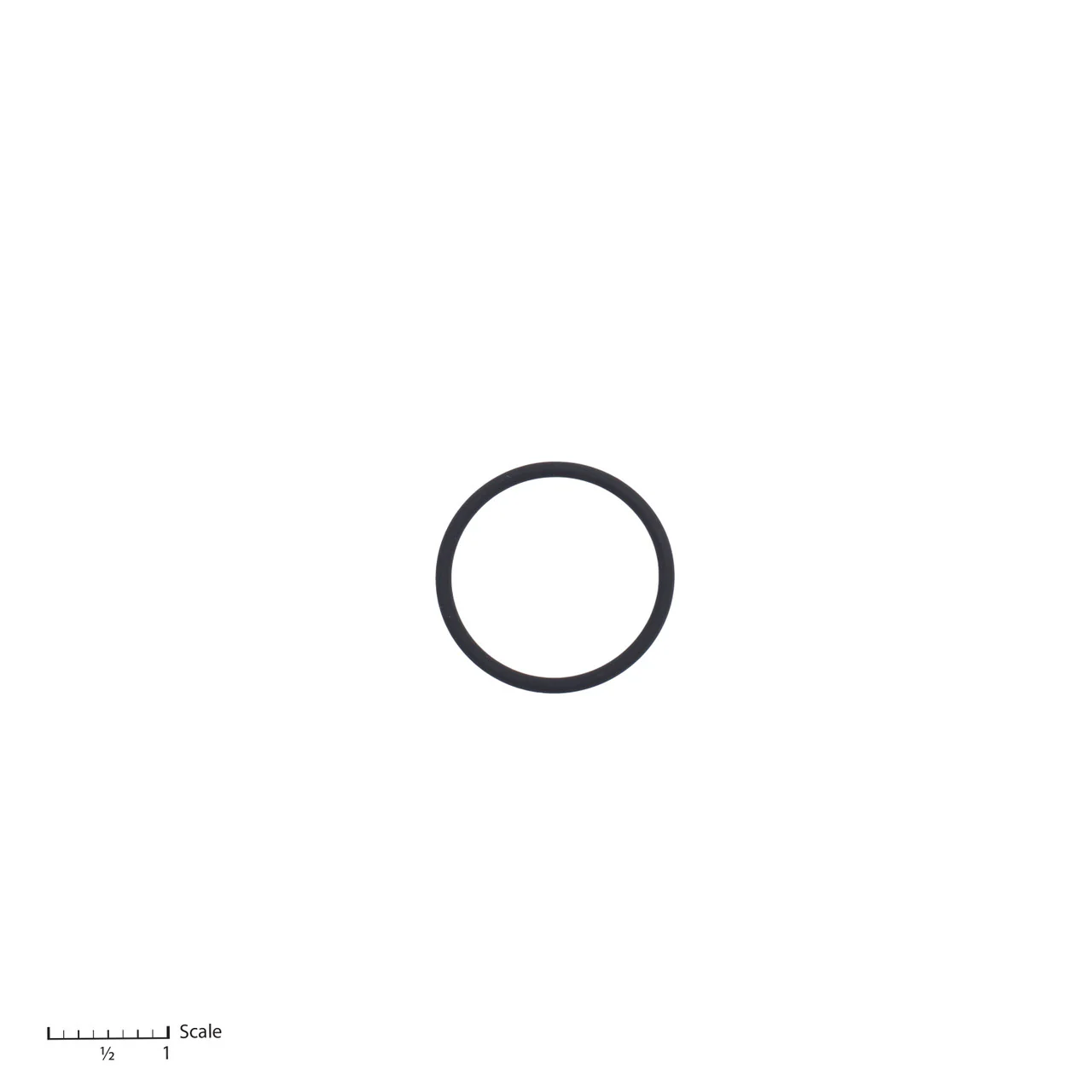 O-Ring