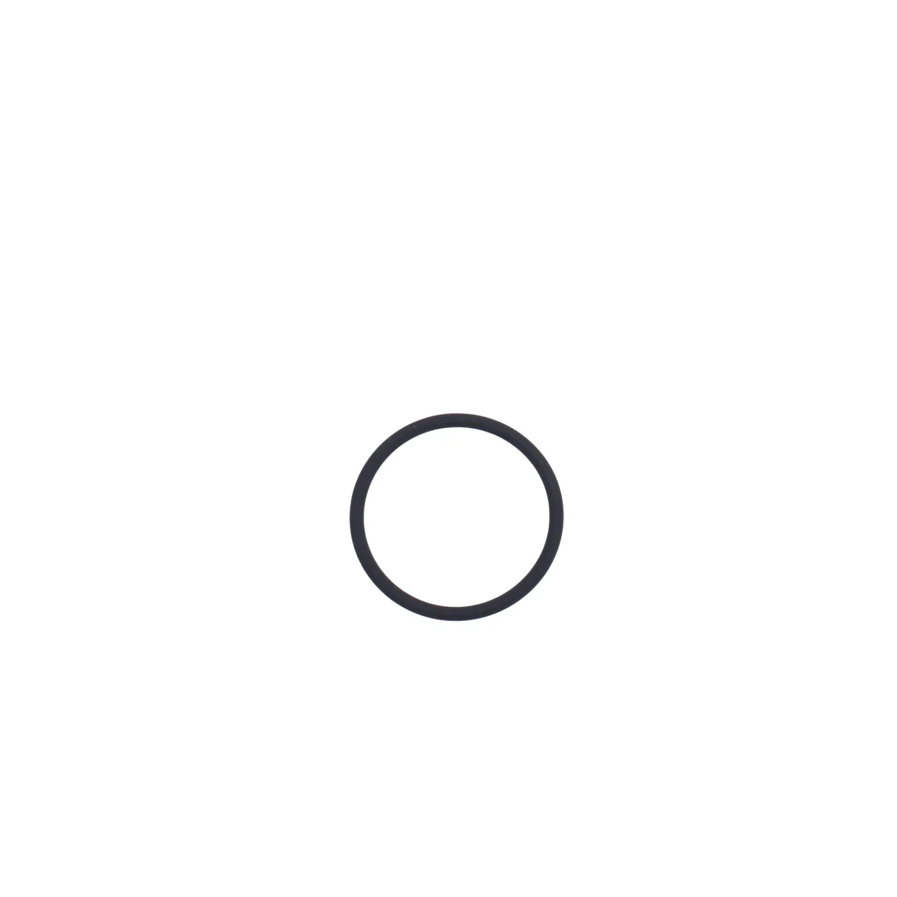 O-Ring - Image 2