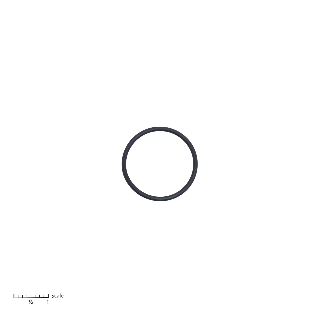 O-Ring