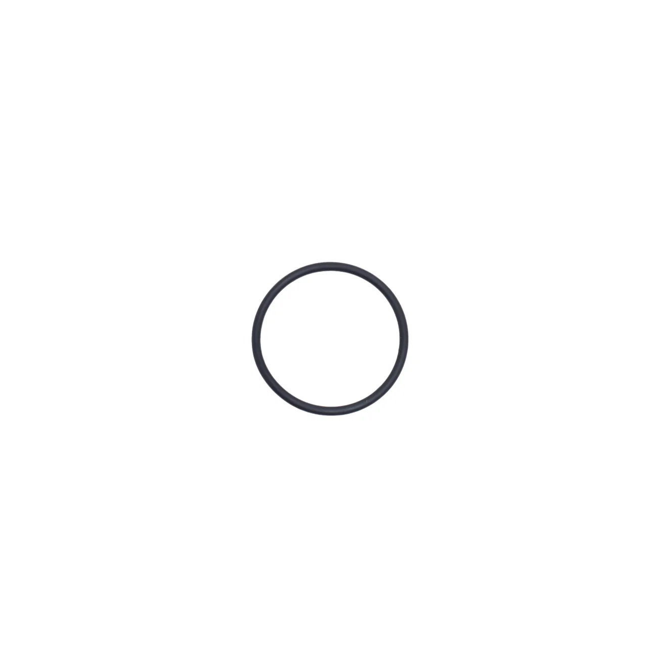 O-Ring - Image 2