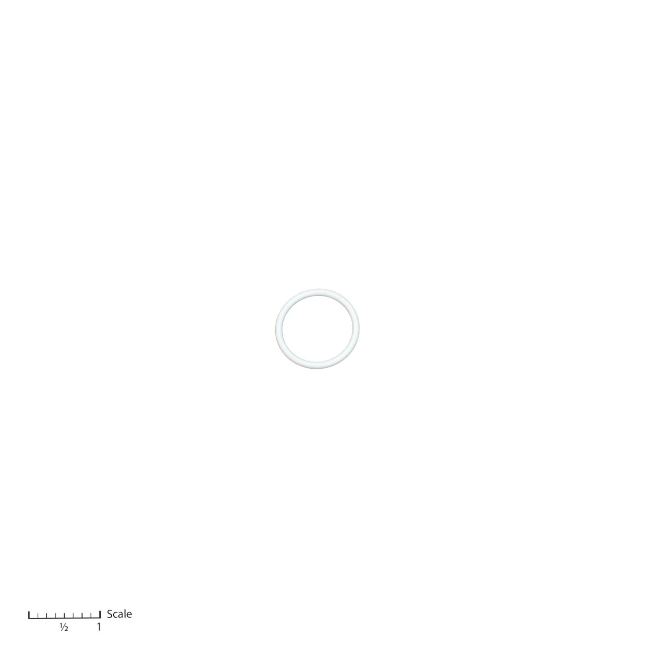 Teflon O-Ring