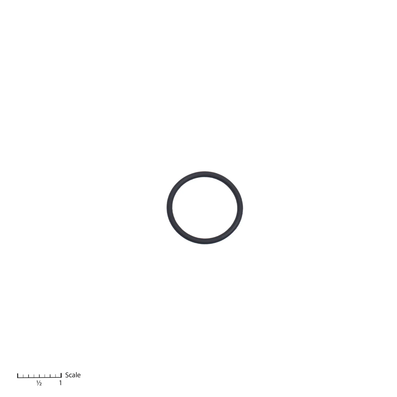O-Ring