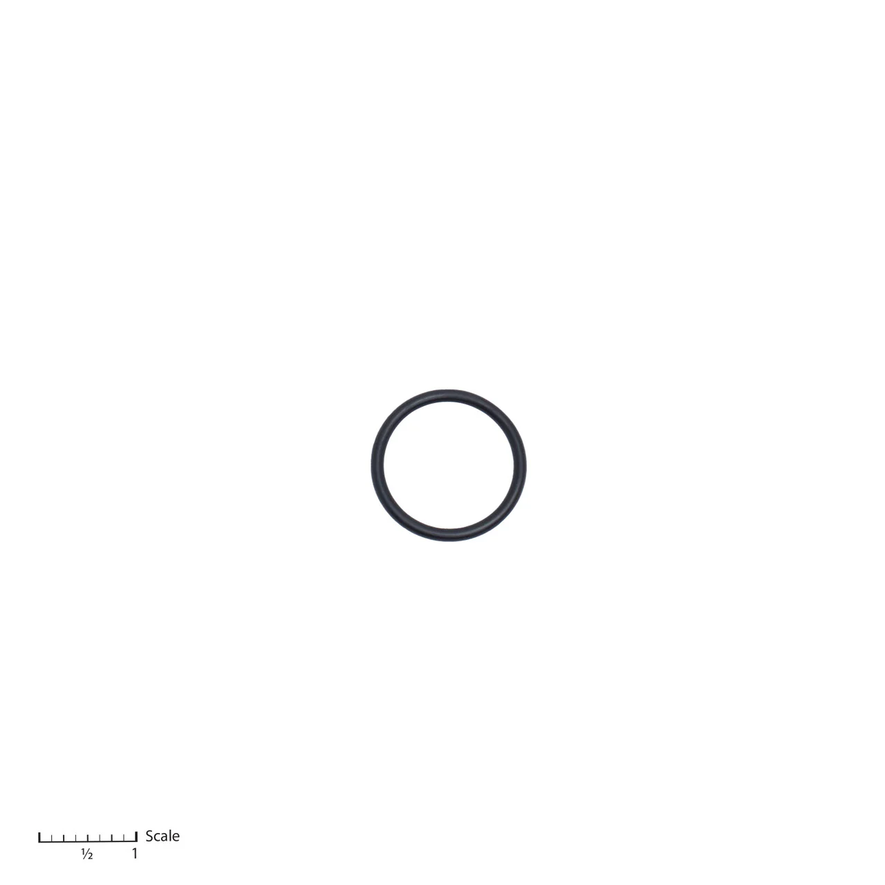 O-Ring