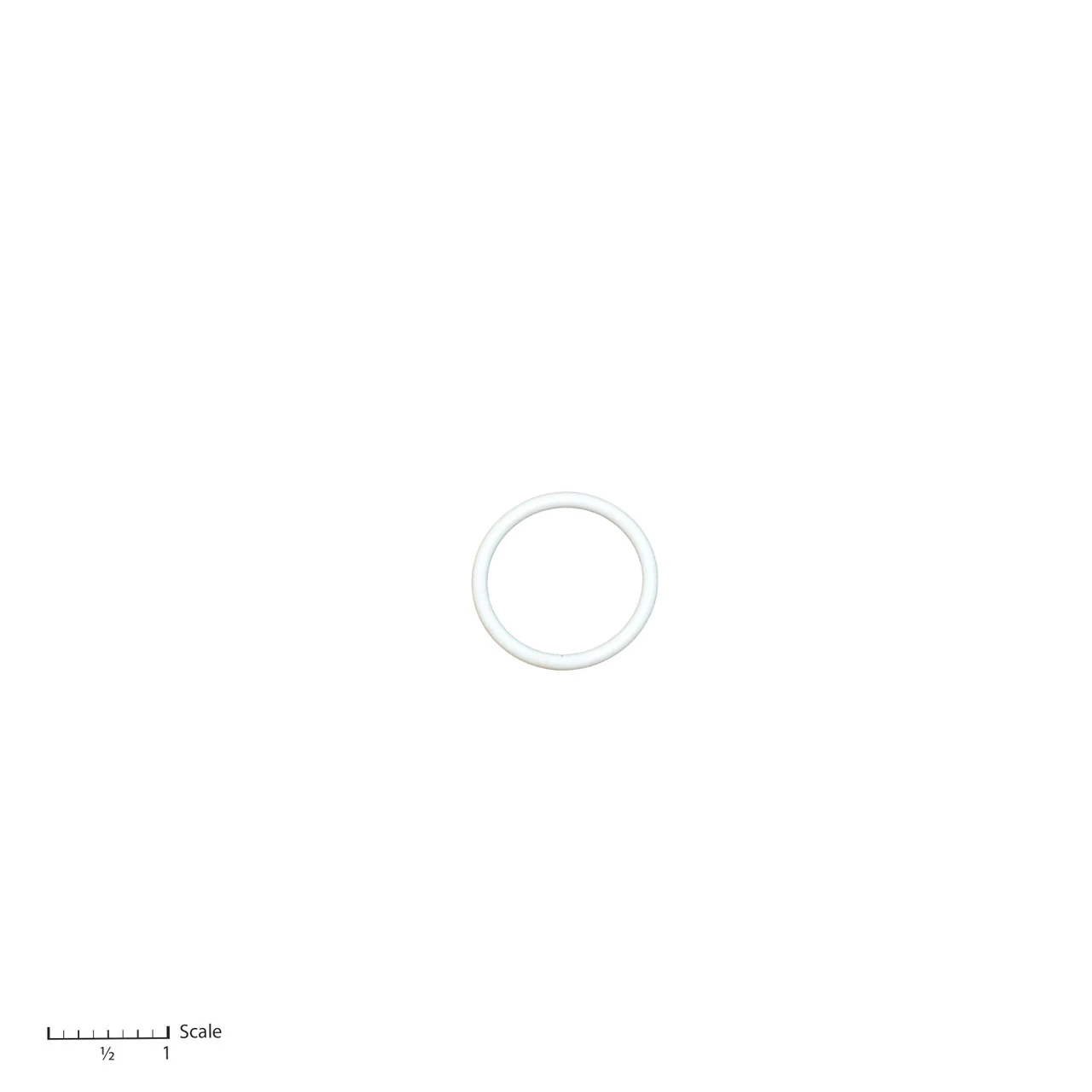 Teflon O-Ring