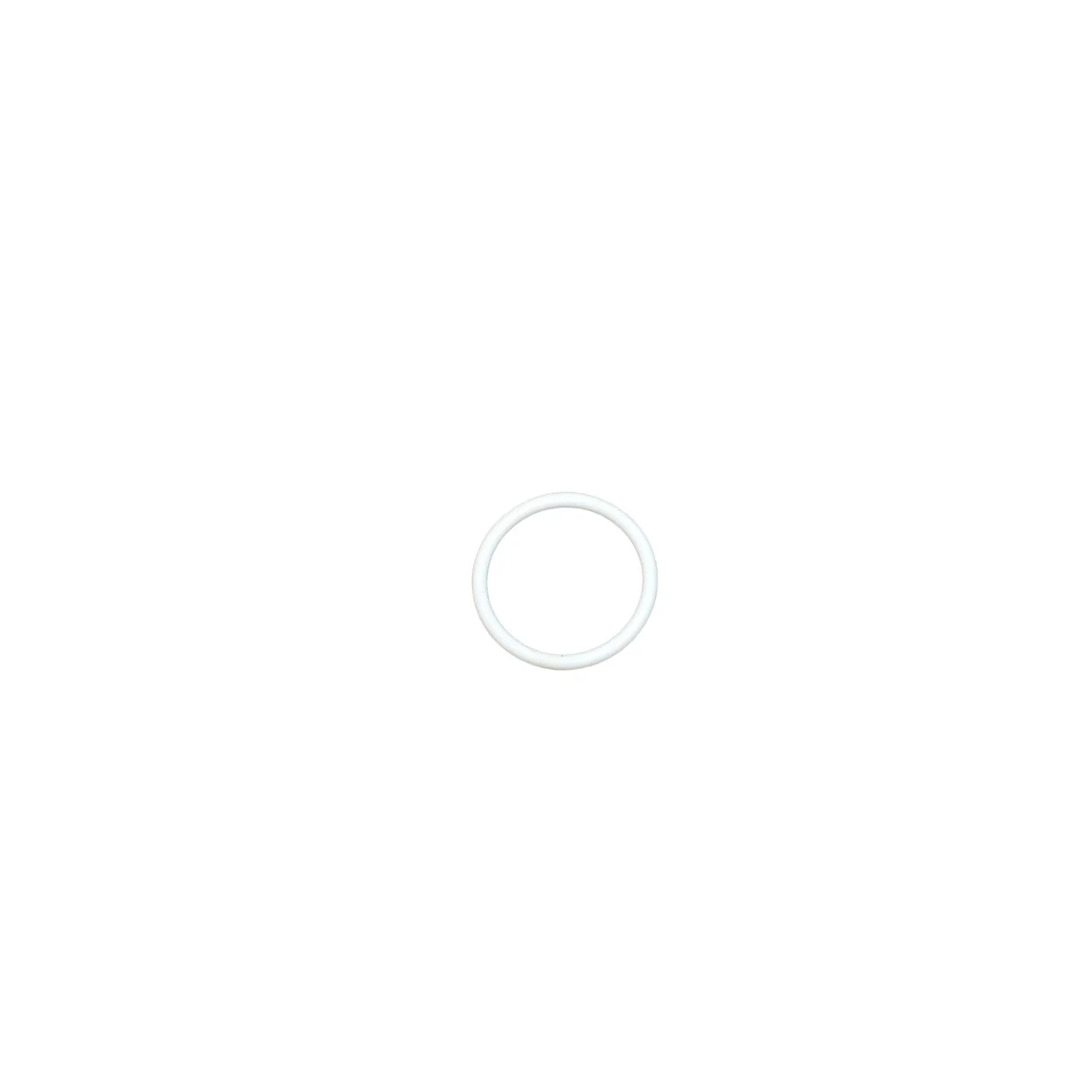 Teflon O-Ring - Image 2
