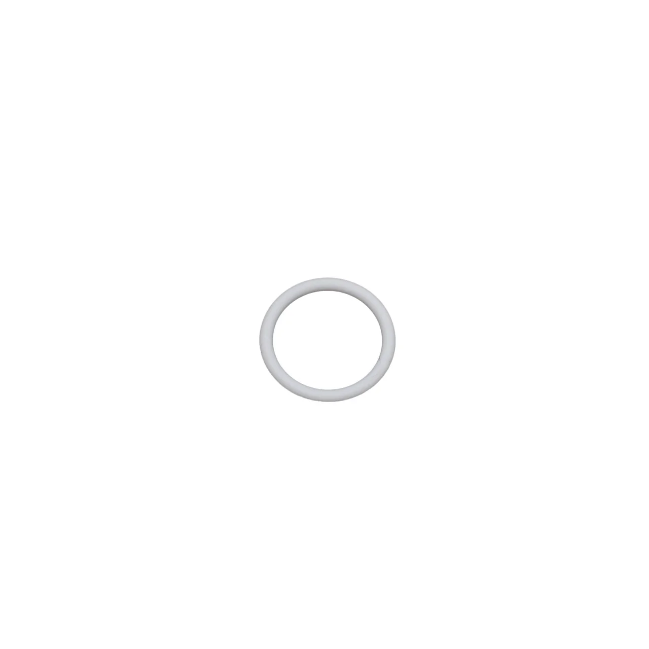 Teflon O-Ring - Image 2
