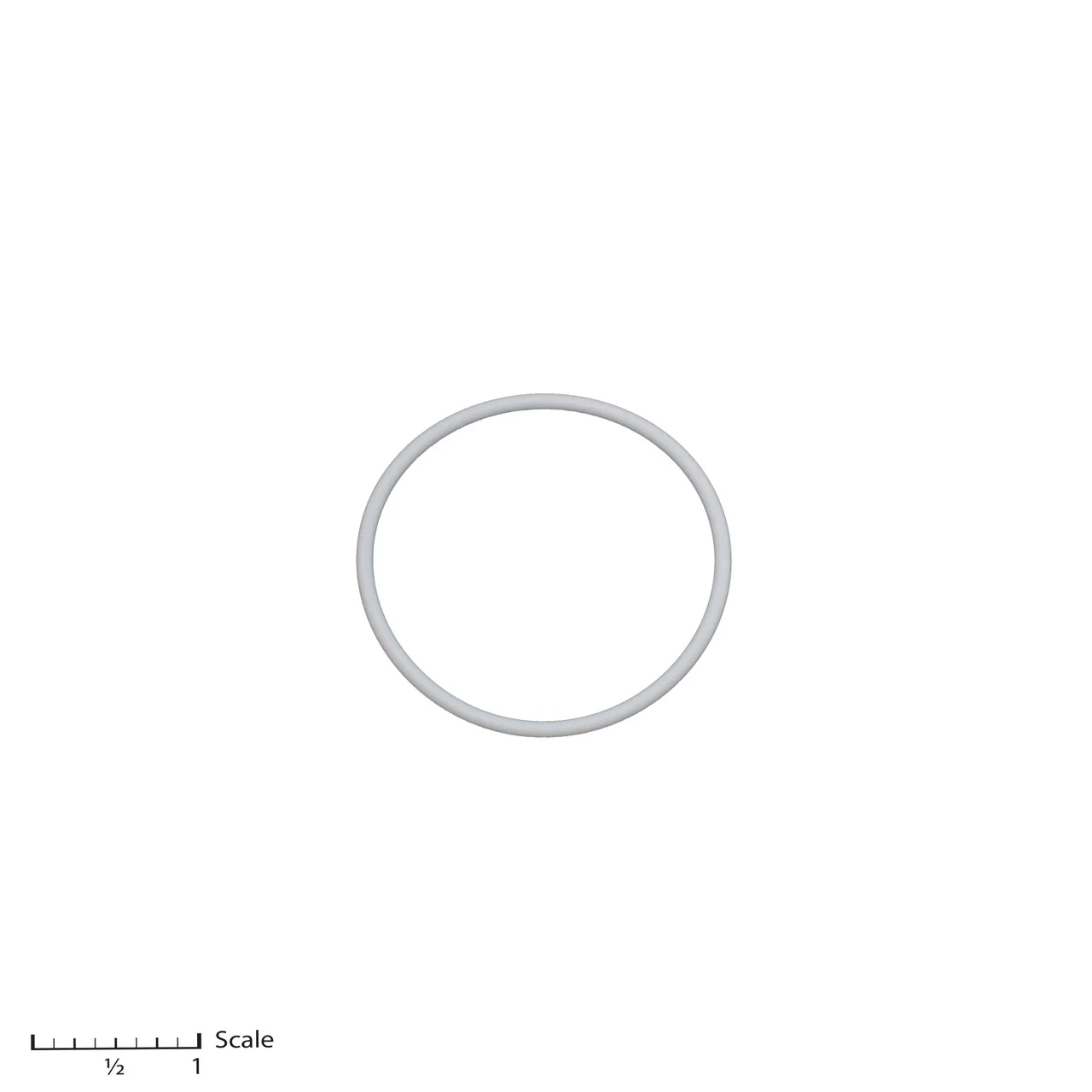 Teflon O-Ring