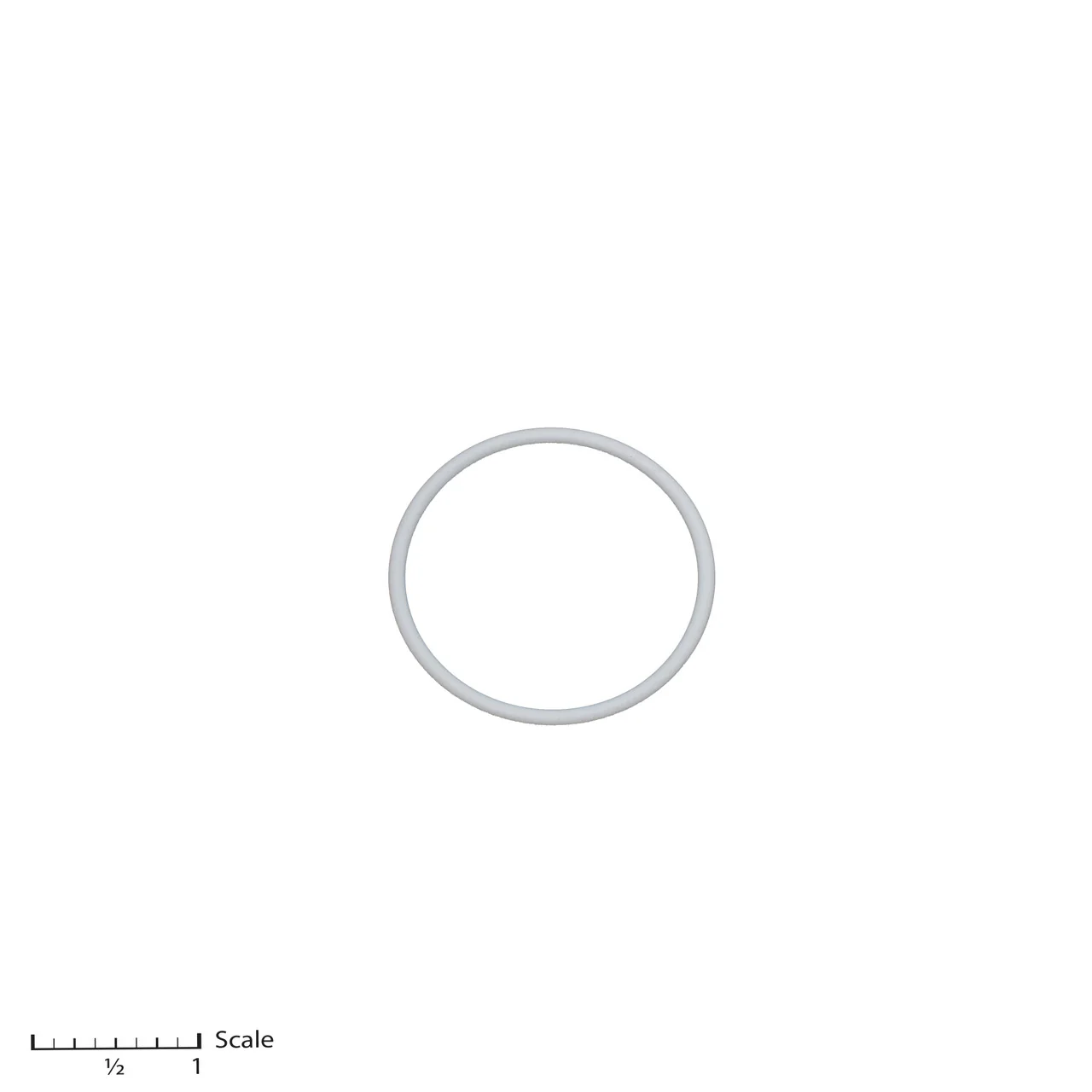 Teflon O-Ring