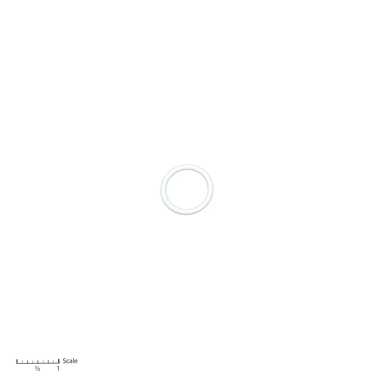 Teflon O-Ring