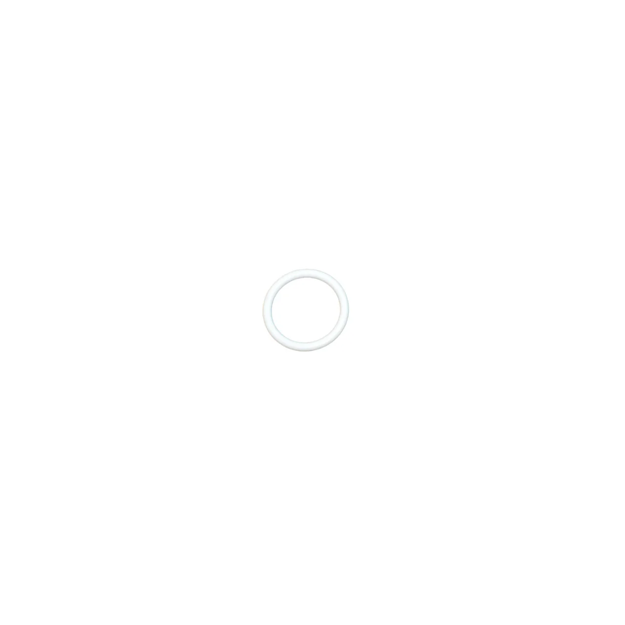 Teflon O-Ring - Image 2