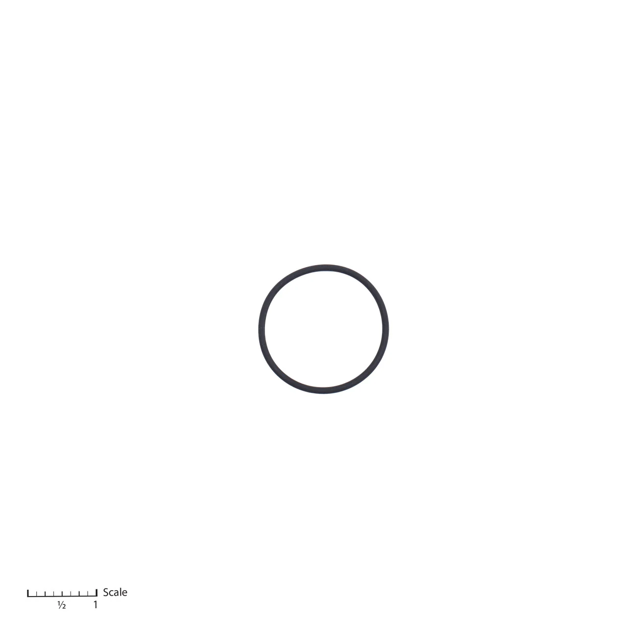 O-Ring