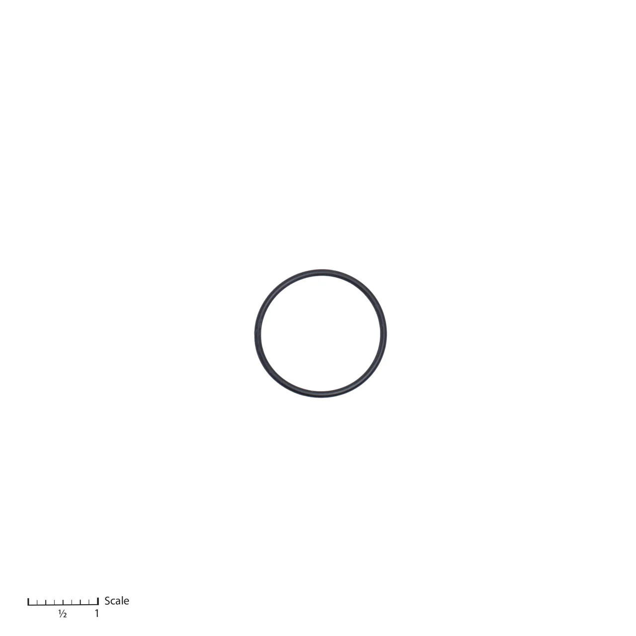 O-Ring