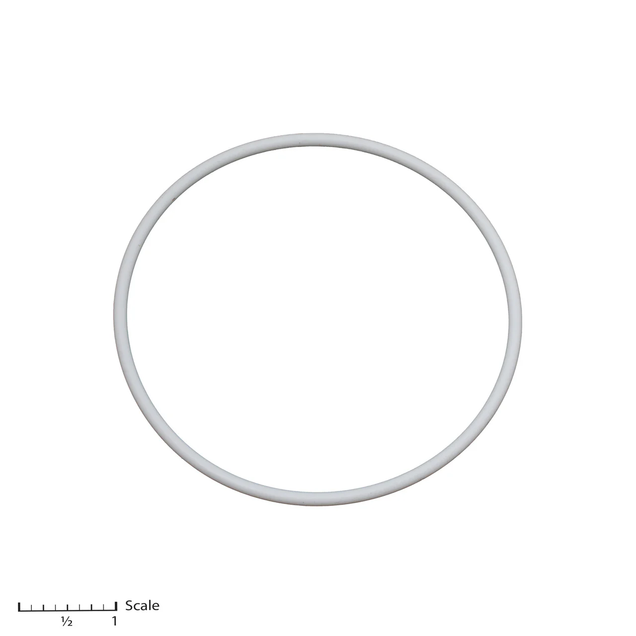 Teflon O-Ring