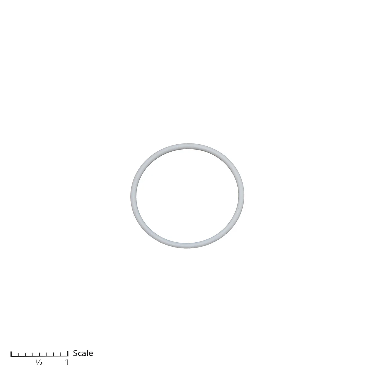 Teflon O-Ring