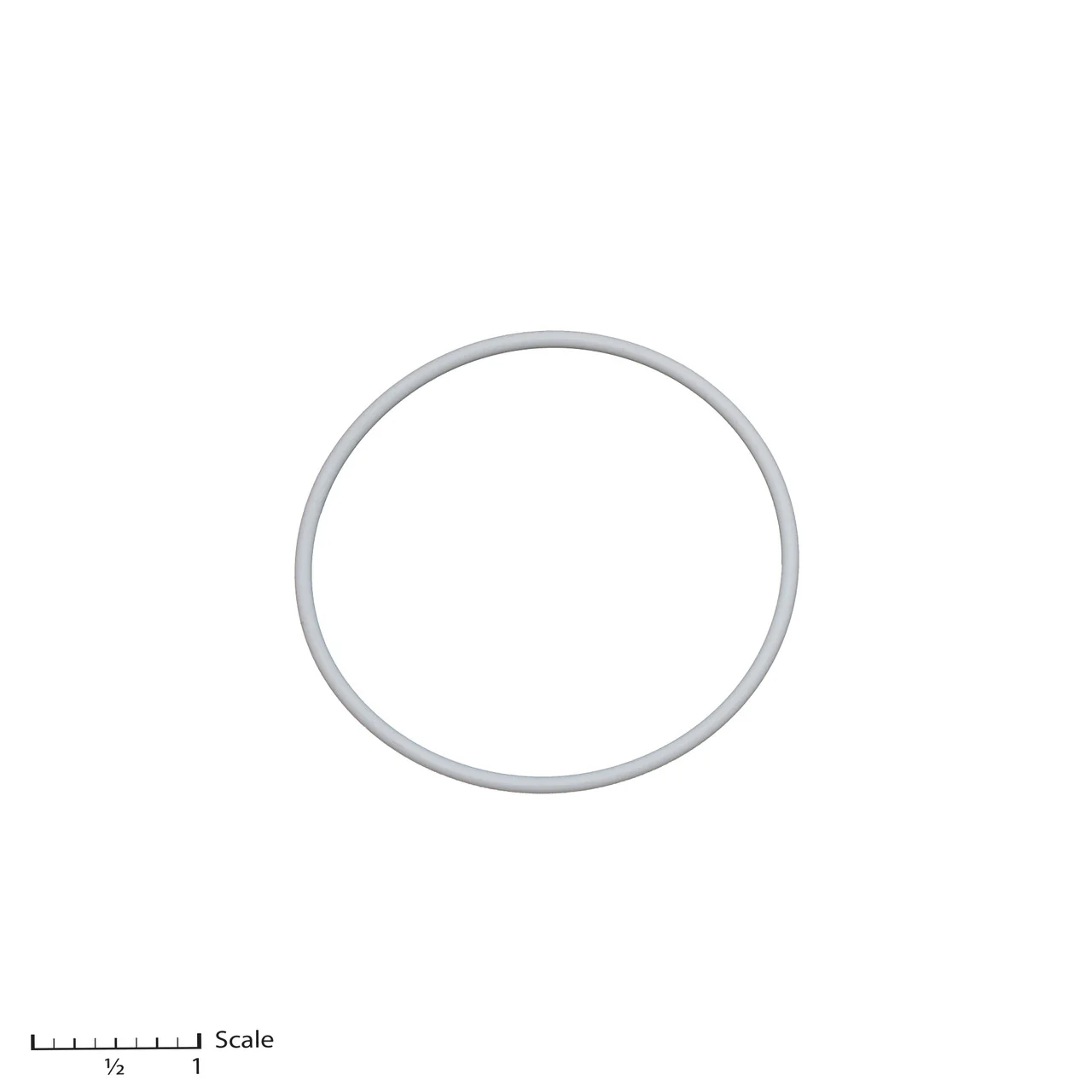 Teflon O-Ring