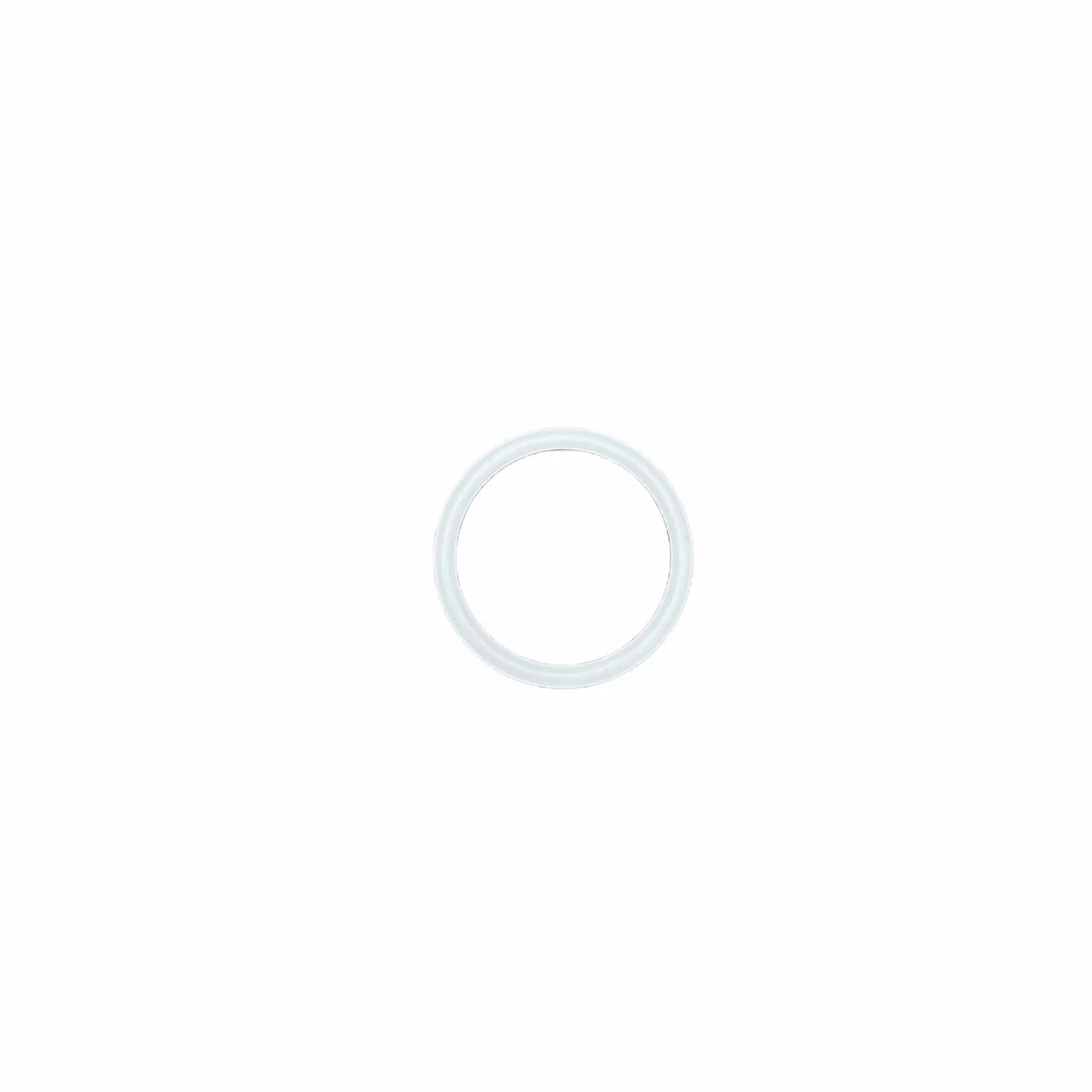 Teflon O-Rings (10-pack)