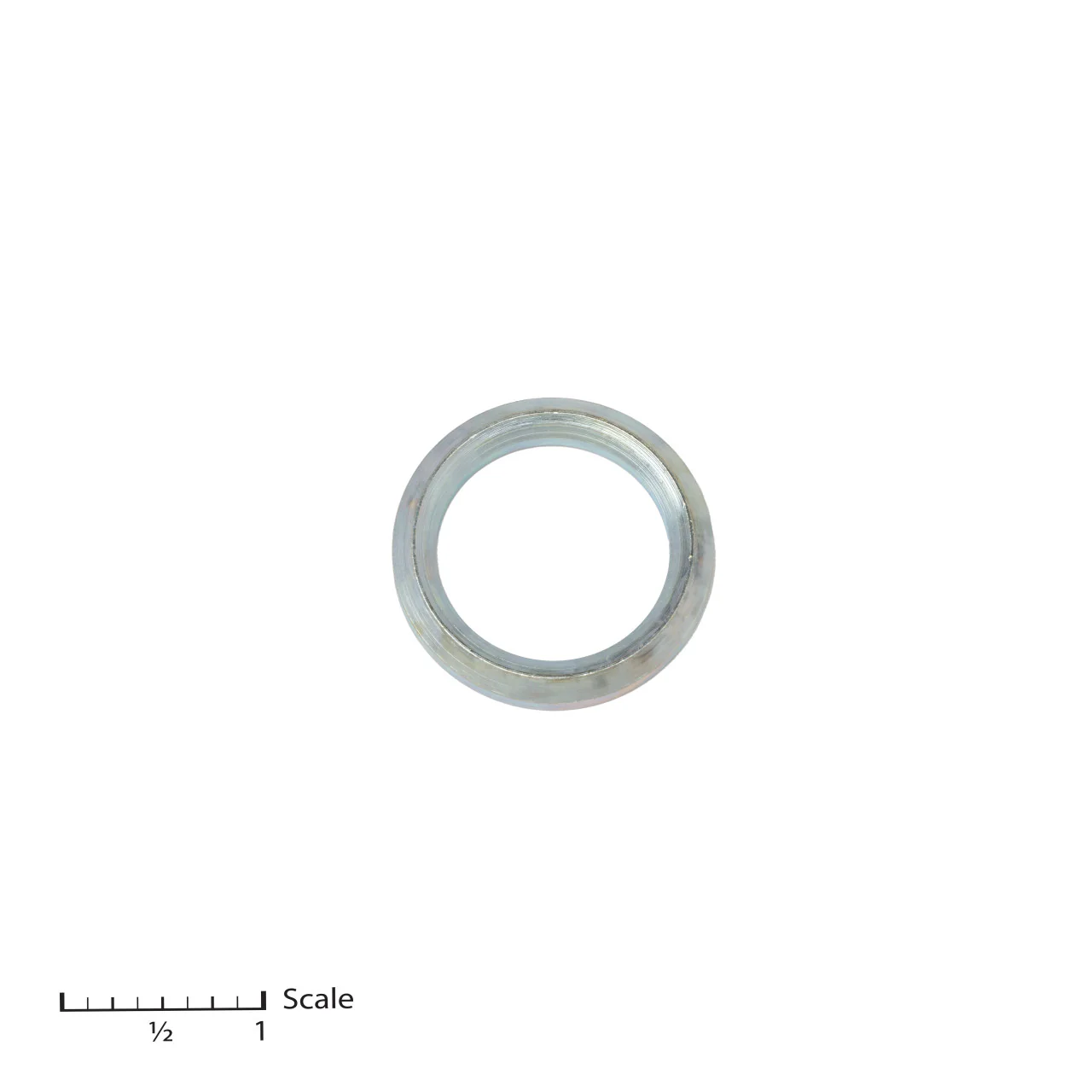 Male Gland (1 pc, order per gland)