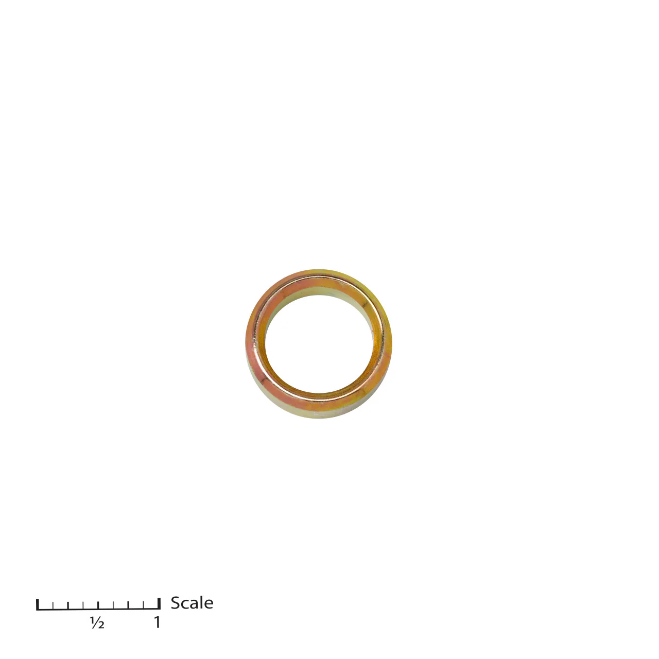 Male Gland
