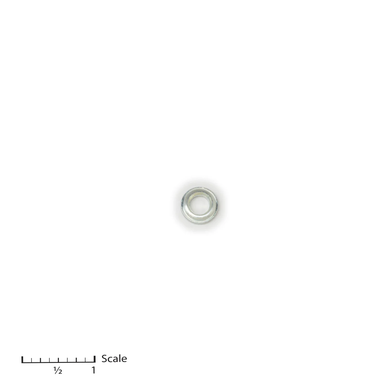 Male Gland