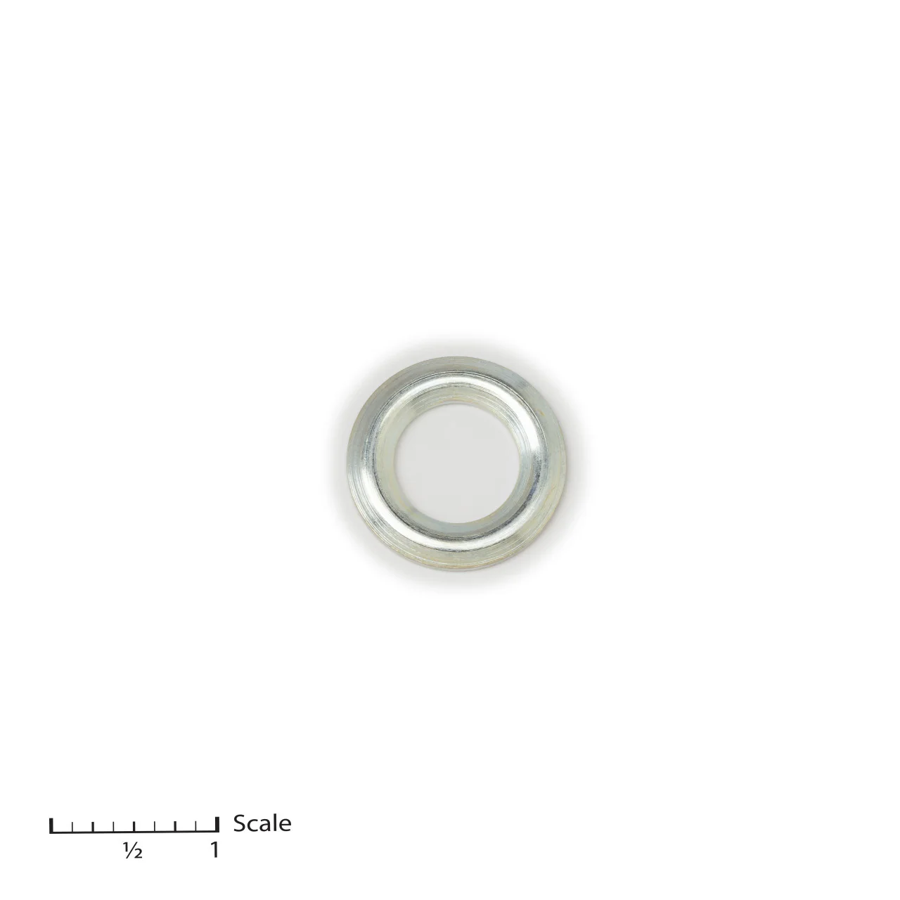 Male Gland