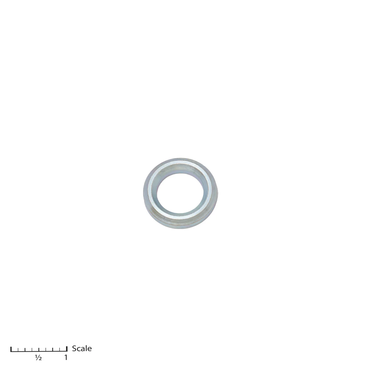 Male Gland