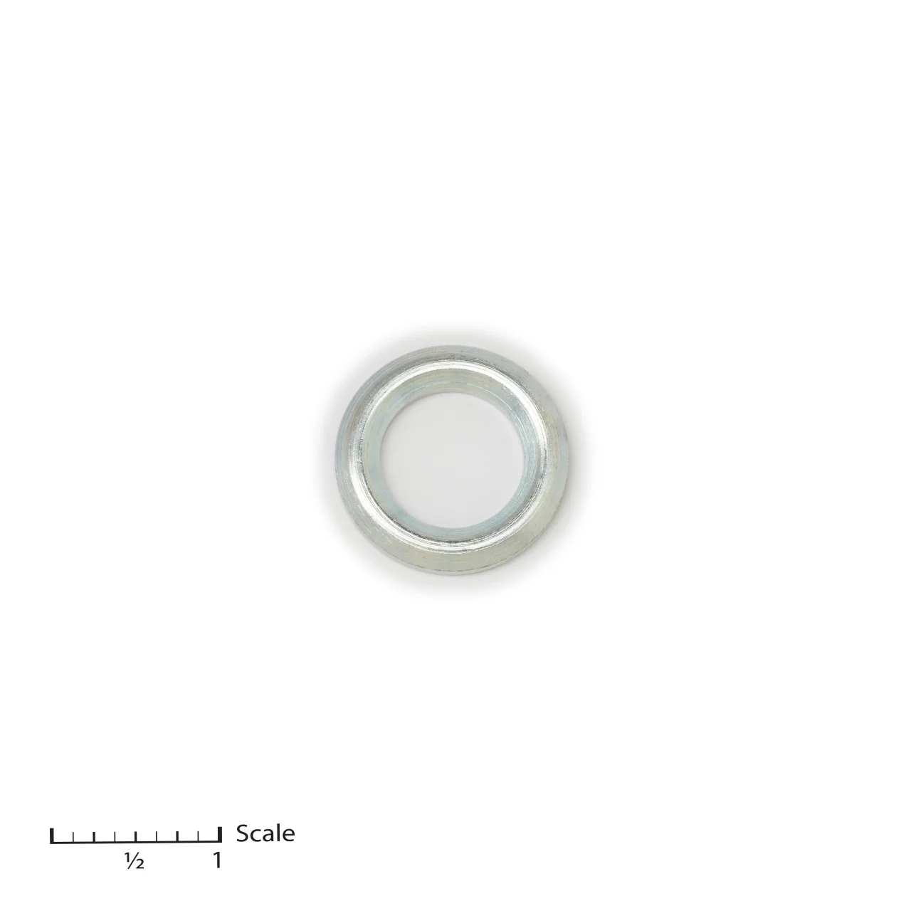 Male Gland