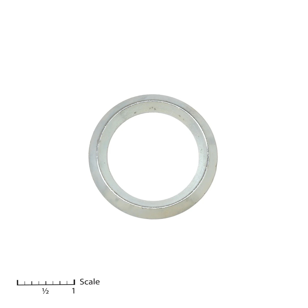 Male Gland