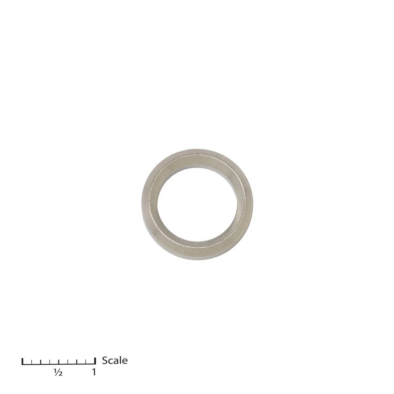Male Gland