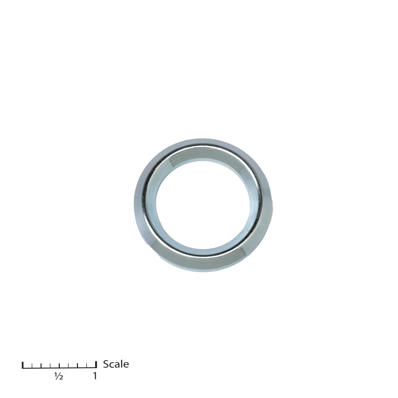 Male Gland