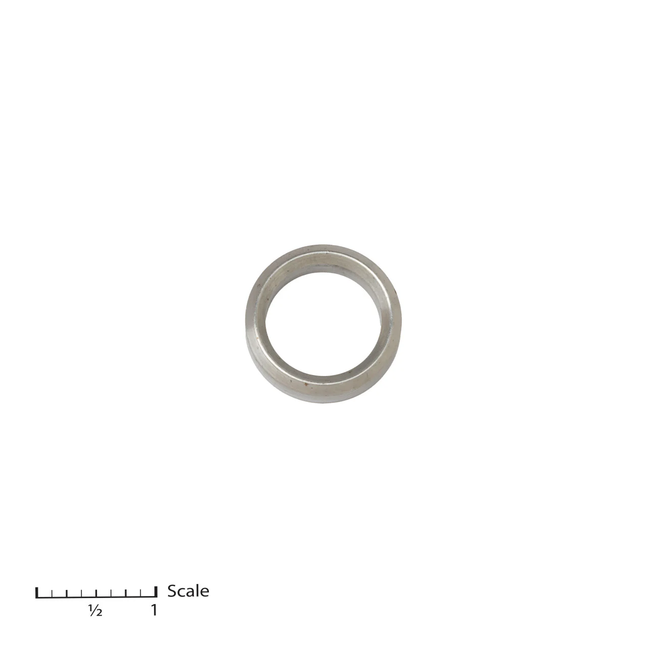 Male Gland
