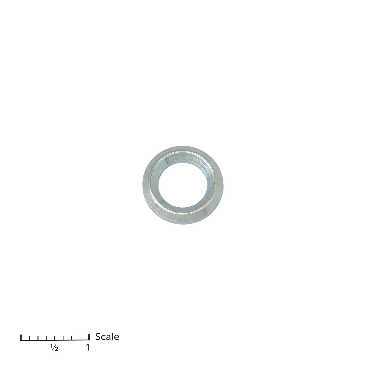 Male Gland