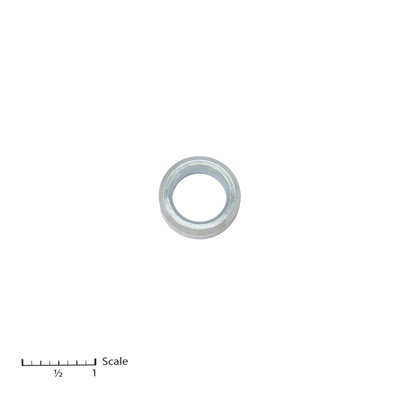 Male Gland