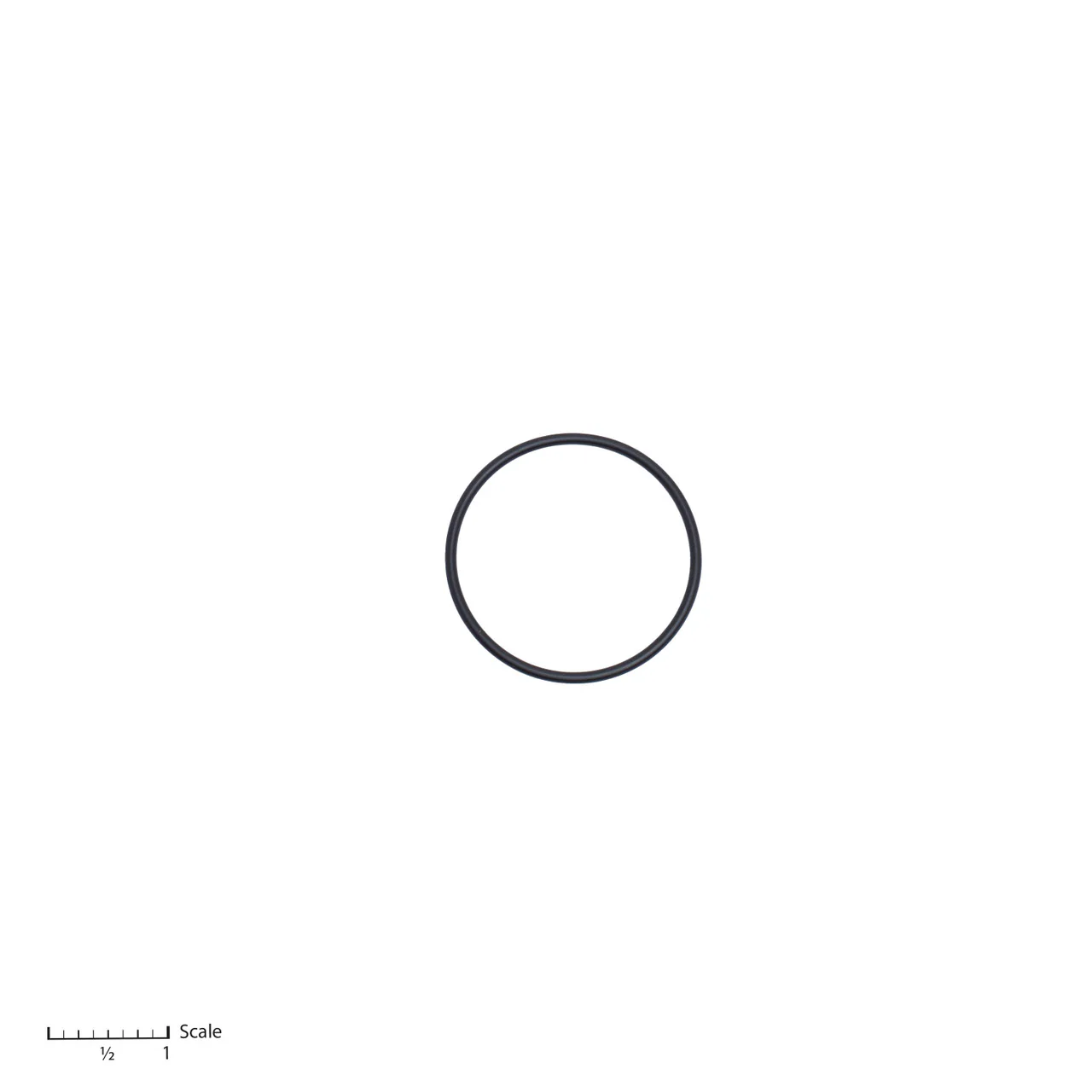 O-Ring