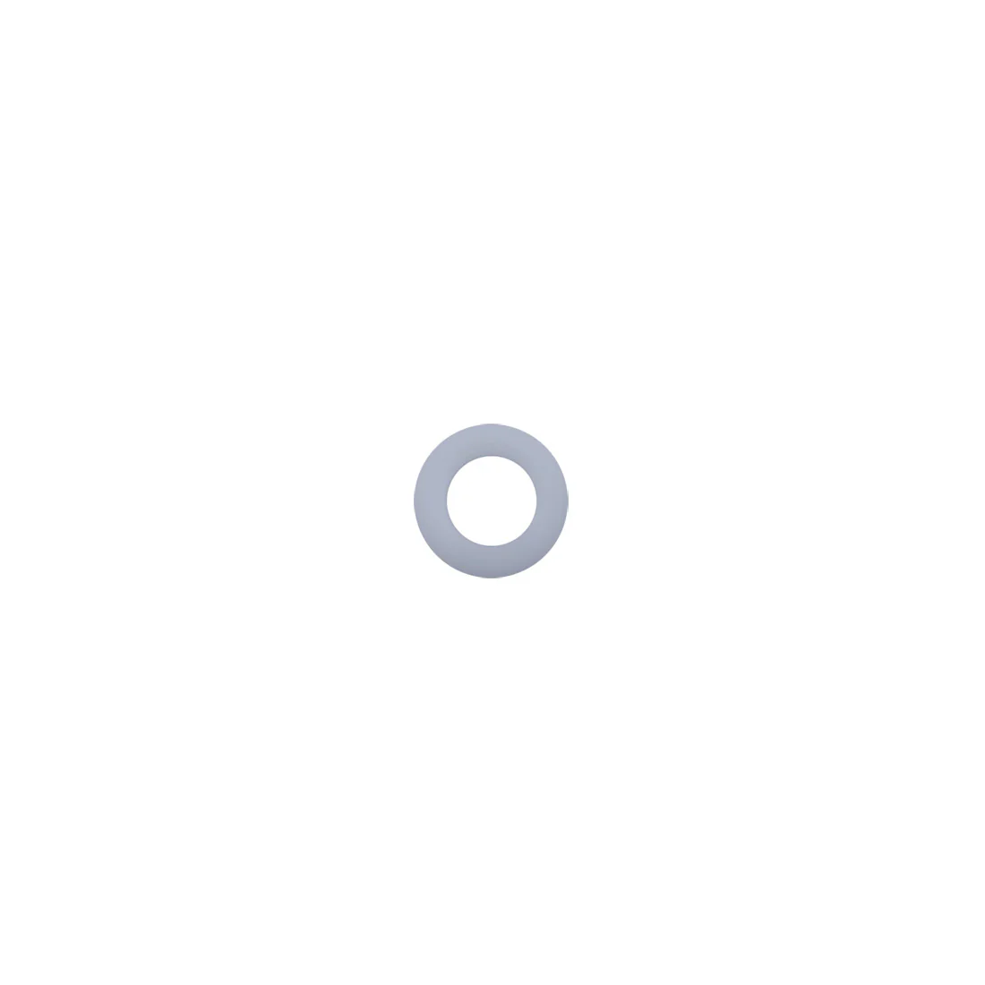 Packing Support Ring