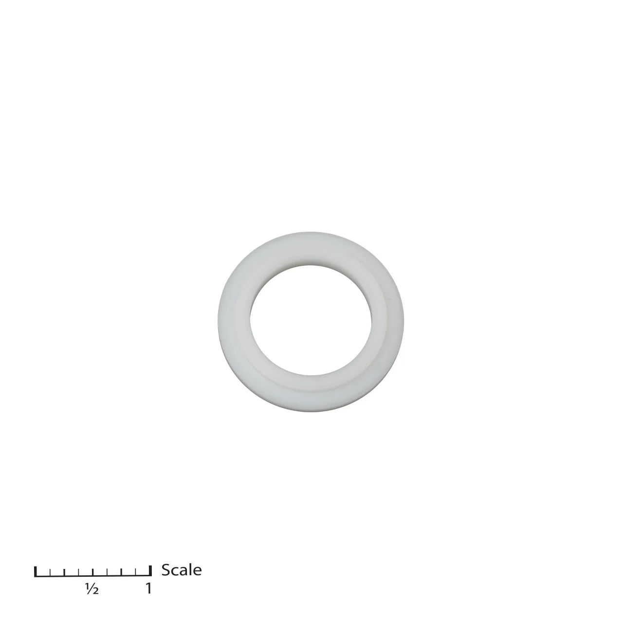 Pressure Ring, Male Gland
