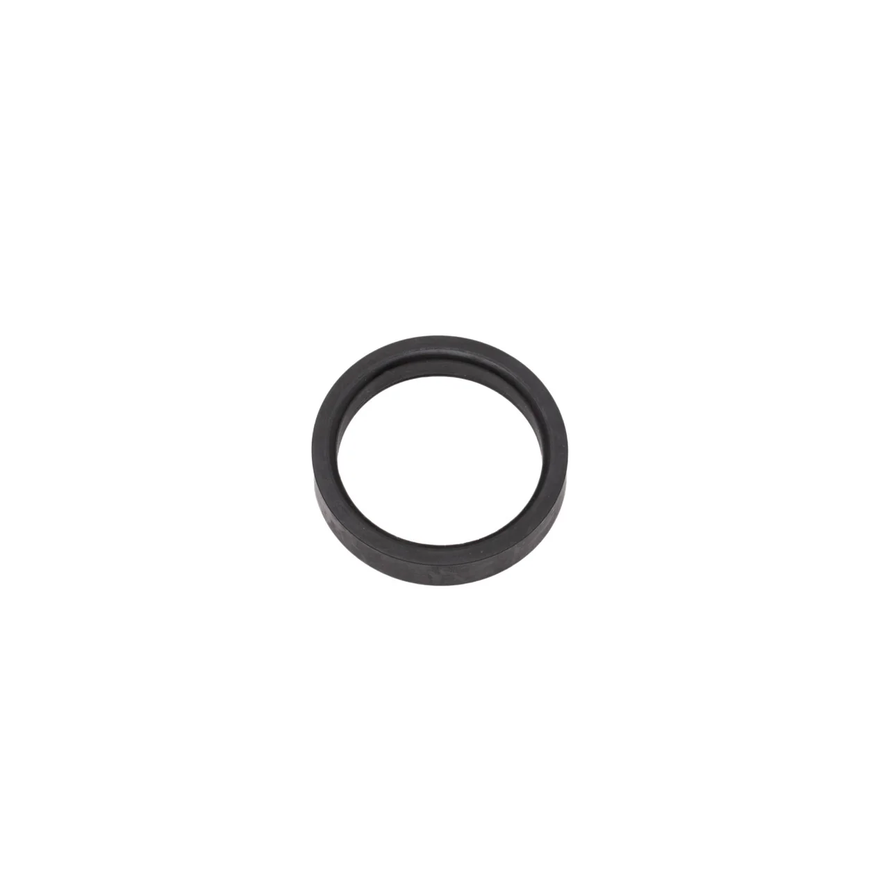 Seal - Image 2